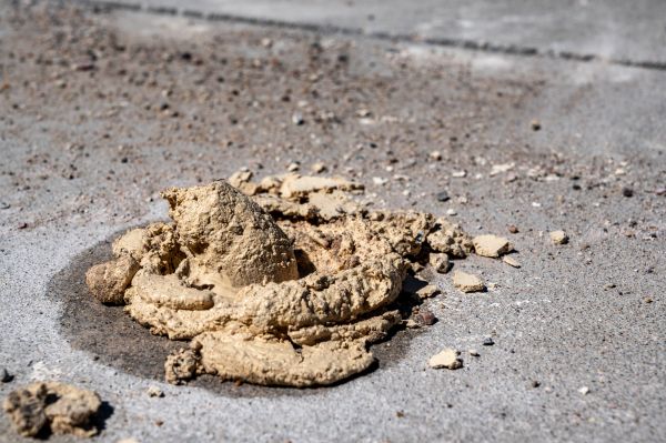 Cost of Driveway Slab Leveling in Sevierville